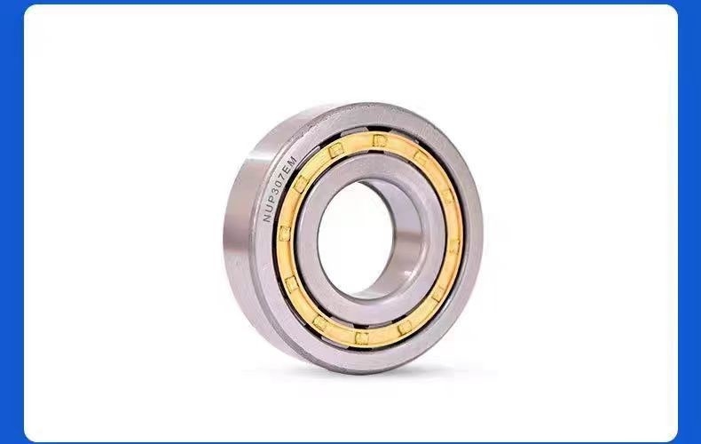 NU305M roulement à rouleaux cylindriques à un seul rang et à grande capacité de production